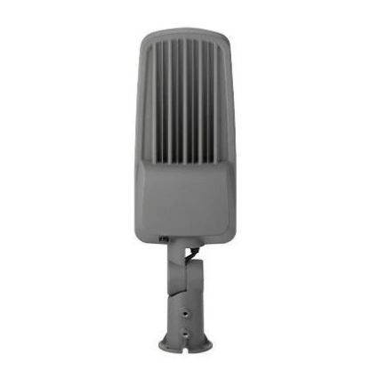 LED gatulampa LED/100W/230V 5000K IP65