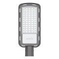 LED gatulampa LED/150W/230V 6500K IP65 grå