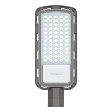 LED gatulampa LED/50W/230V 6500K IP65 grå
