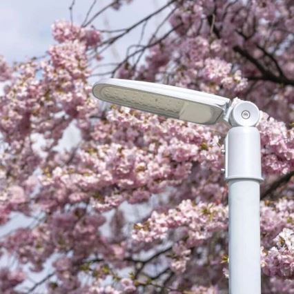 LED gatulampa SOLIS LED/30W/230V 3000K IP65
