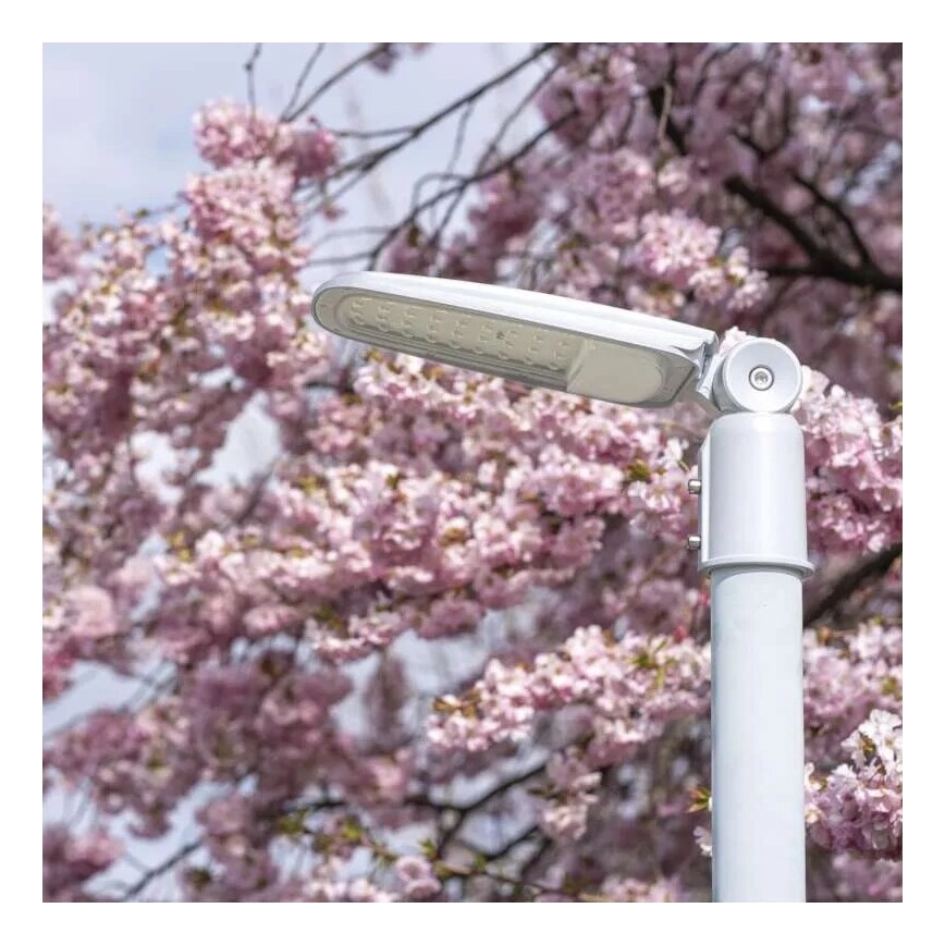 LED gatulampa SOLIS LED/30W/230V 3000K IP65