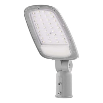 LED gatulampa SOLIS LED/50W/230V 4000K IP65