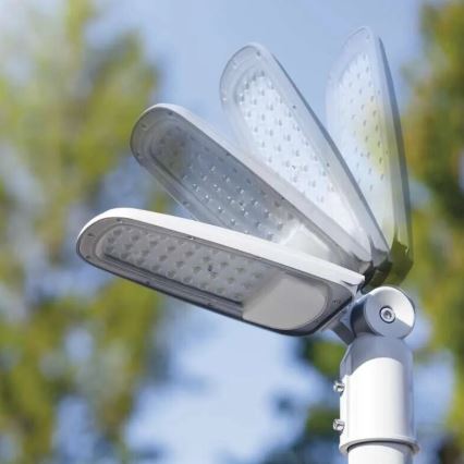 LED gatulampa SOLIS LED/50W/230V 4000K IP65