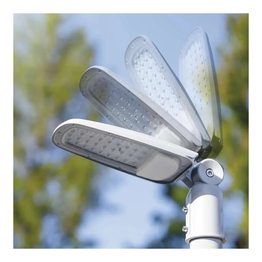 LED gatulampa SOLIS LED/50W/230V 4000K IP65