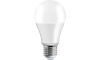 LED glödlampa A65 E27/15W/230V 4500K