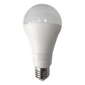LED glödlampa A65 E27/18W/230V 4200K