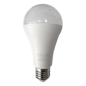 LED glödlampa A65 E27/18W/230V 4200K