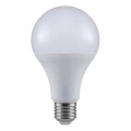 LED glödlampa A80 E27/20W/230V 6500K