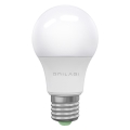 LED Glödlampa  ECOLINE A60 E27/15W/230V 4000K - Brilagi