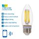 LED glödlampa FILAMENT C35 E27/4,5W/230V 2700-6500K - Aigostar
