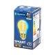 LED glödlampa FILAMENT G45 E27/4,5W/230V 2700-6500K - Aigostar