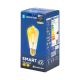LED glödlampa FILAMENT ST64 E27/6W/230V 2700-6500K - Aigostar