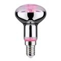 LED Glödlampa för växttillväxt GROW GRÖN R50 E14/4W/230V - Paulmann 28734
