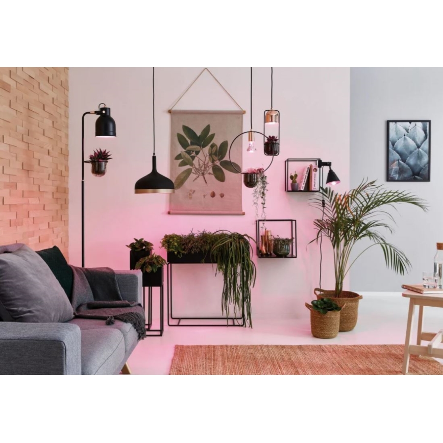 LED Glödlampa för växttillväxt GROW GRÖN R50 E14/4W/230V - Paulmann 28734