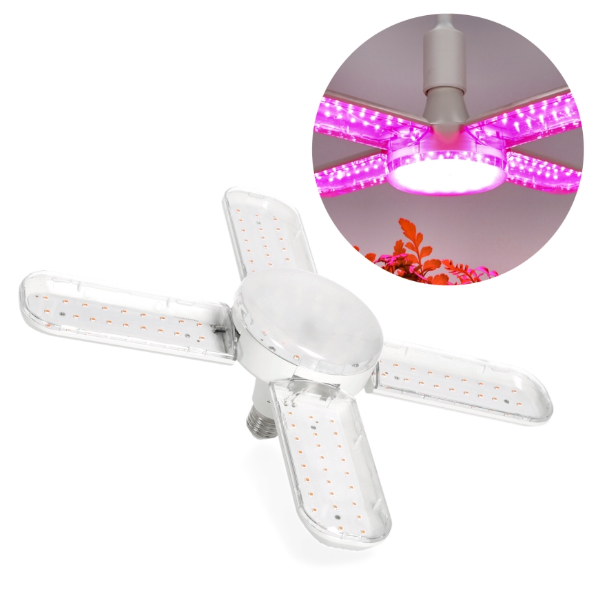 LED Glödlampa för växttillväxt PLANTY E27/24W/230V 1200K