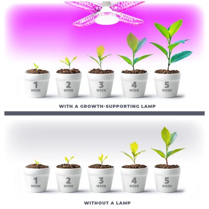 LED Glödlampa för växttillväxt PLANTY E27/40W/230V 1200K