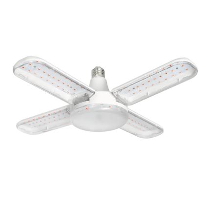 LED Glödlampa för växttillväxt VITABLOOM E27/40W/230V 1200K - Brilagi