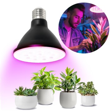 LED Glödlampa för växttillväxt VITABLOOM E27/9W/230V 1200K svart - Brilagi
