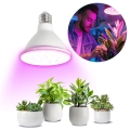 LED Glödlampa för växttillväxt VITABLOOM E27/9W/230V 1200K vit - Brilagi