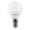 LED glödlampa G45 E14/7W/230V 4000K