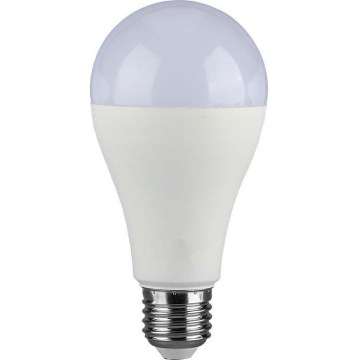 LED glödlampa SAMSUNG CHIP A65 E27/17W/230V 3000K