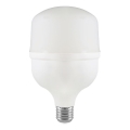 LED glödlampa T80 E27/20W/230V 6500K