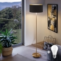 LED golvlampa TUNJA 1xE27/20W/230V Ø 38 cm guld/svart