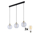 LED-hänglampa på sladd DEVON 3xE27/15W/230V svart/klarglas