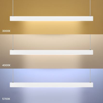 LED-hänglampa på vajer LINEA LED/36W/230V 3000/4000/5700K CRI 90 vit
