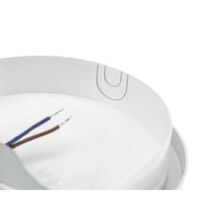 LED Heavy-duty belysning med PIR-sensor LED/20W/230V IP54