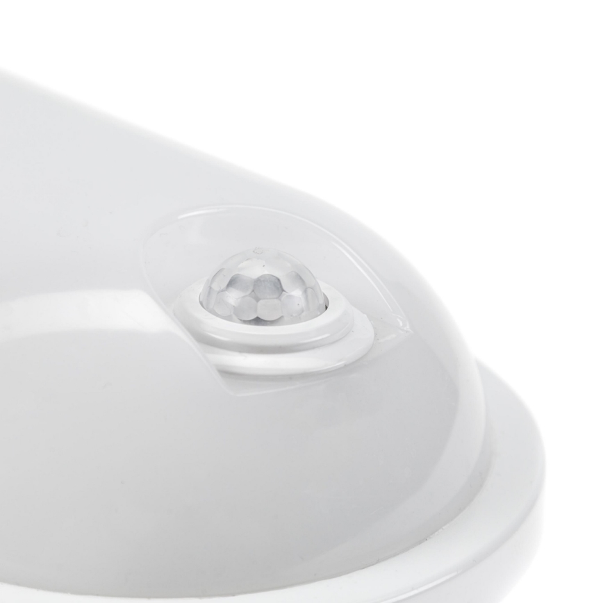 LED Heavy-duty belysning med PIR-sensor LED/20W/230V IP54