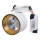 LED Infälld spotlight HARON LED/20W/230V vit