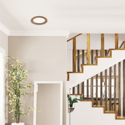 LED infälld takspot WOODY SPOT LED/16,5W/230V 4000K valnöt Ø 18,5 cm