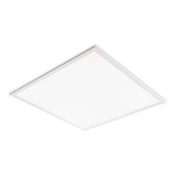 LED Infälld takpanel DAVRO LED/40W/230V 4000K 59,5x59,5 cm vit