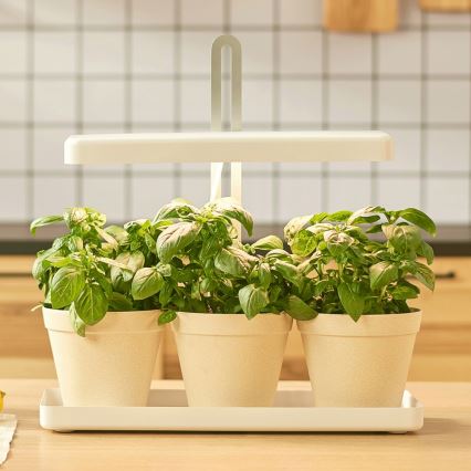 LED Inomhuslampa för odling av växter LED/20W/5V 3500K