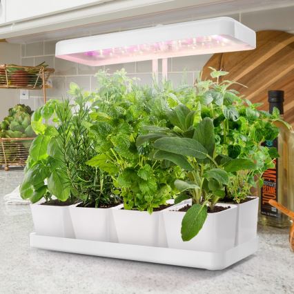 LED Inomhuslampa för odling av växter LED/20W/5V 3500K