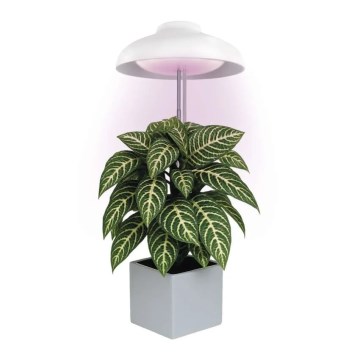LED-inomhuslampa för växtodling GROW LED/5W/5V