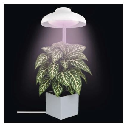 LED-inomhuslampa för växtodling GROW LED/5W/5V