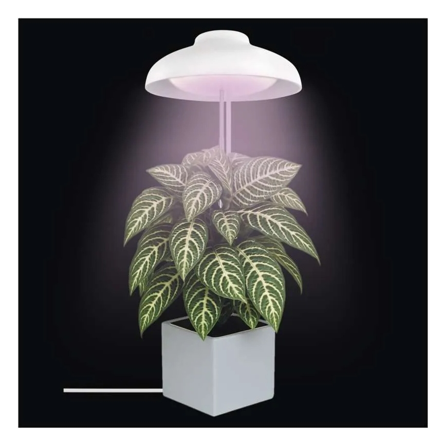 LED-inomhuslampa för växtodling GROW LED/5W/5V