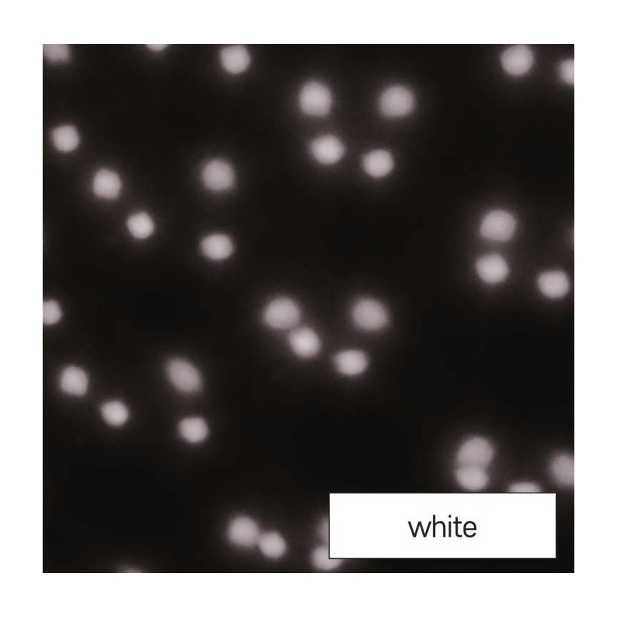 LED Jul utomhusprojektor LED/4W/230V IP44 vit