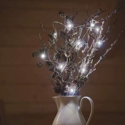 LED Julbelysning 20xLED/2xAA 2,4m kallvit