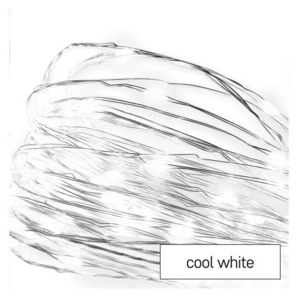 LED Julbelysning 20xLED/2xAA 2,4m kallvit