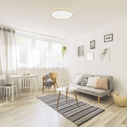 LED ljusreglerad taklampa  LED/24W/230V + fjärrkontroll  rund  2700K-6500K