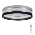 LED Justerbar ljusstyrka taklampa  SMART CORAL LED/24W/230V svart /grå + Fjärrkontroll 