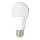 LED-lampa A60 E27/15W/230V 4100K
