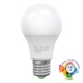 LED-lampa ECOLINE A60 E27/10W/230V 3000K CRI 92 - Brilagi