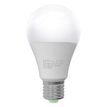 LED-lampa ECOLINE A65 E27/15W/230V 3000K - Brilagi