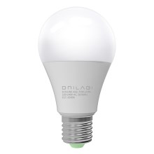 LED-lampa ECOLINE A65 E27/15W/230V 6500K - Brilagi
