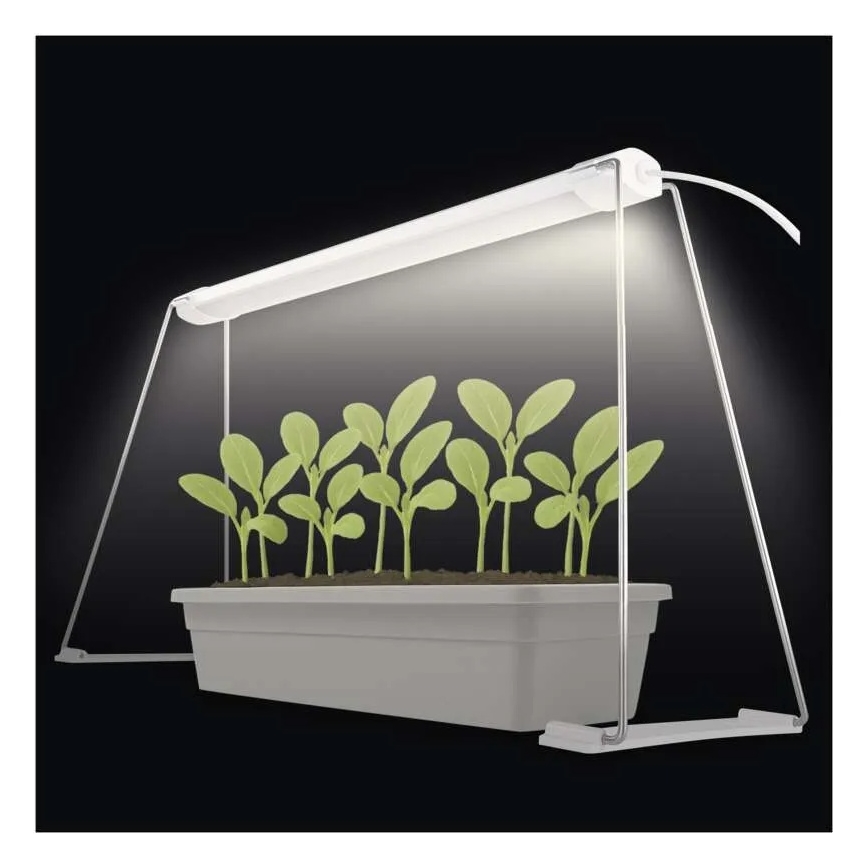 LED-lampa för inomhusodling GROW LED/15W/230V