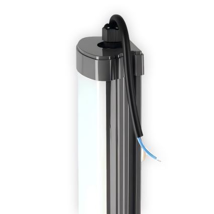 LED lampa för undersidan av köksskåp LED/60W/230V 6000K 120 cm IP65 svart